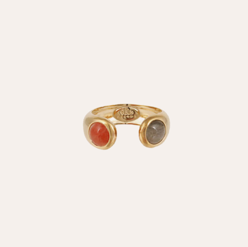 Anillos