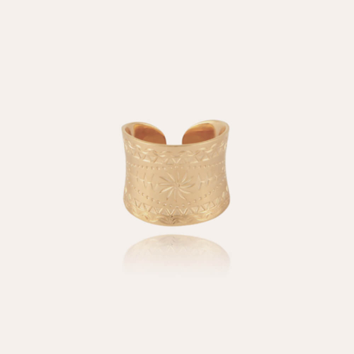 Anillos