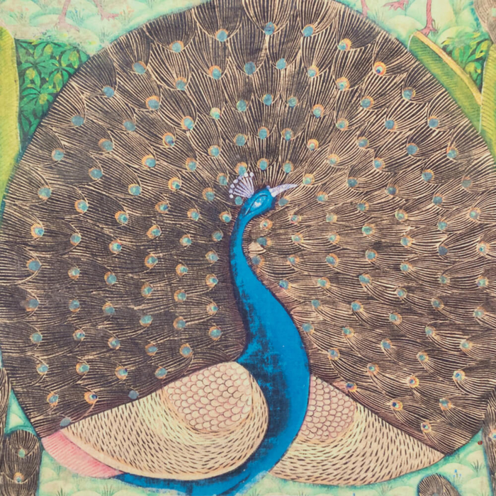 ela peacock